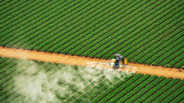 Best Mosquito Control Services  in Cedar Mill, OR