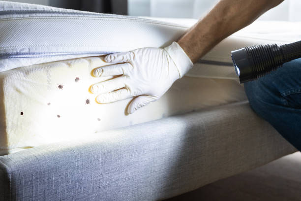 Best Pest Prevention Services  in Cedar Mill, OR