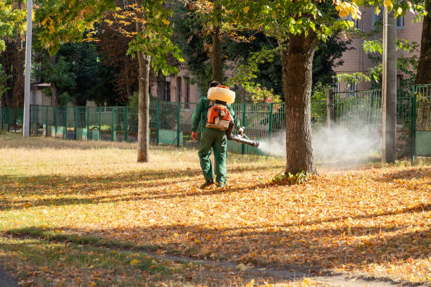 Best Wasp Removal Services  in Cedar Mill, OR