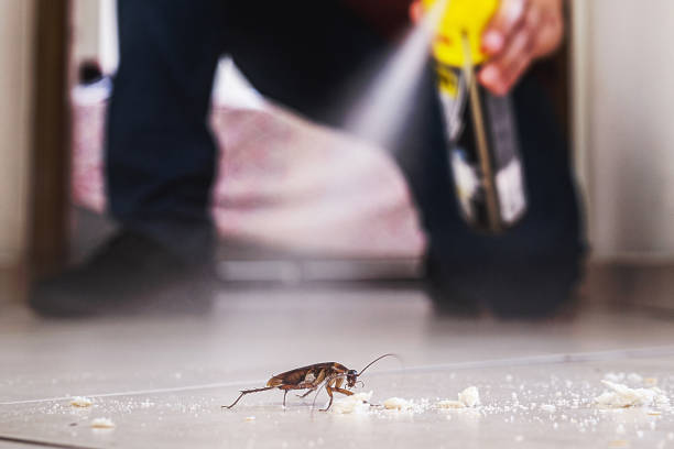 Pest Control Cost in Cedar Mill, OR