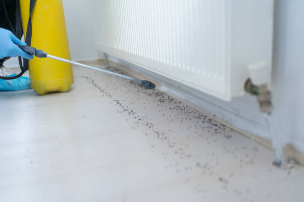 Best Best Pest Control Companies  in Cedar Mill, OR