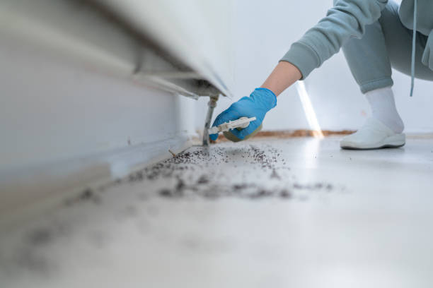 Best Pest Control Cost  in Cedar Mill, OR