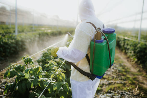 Best Local Pest Control Services  in Cedar Mill, OR